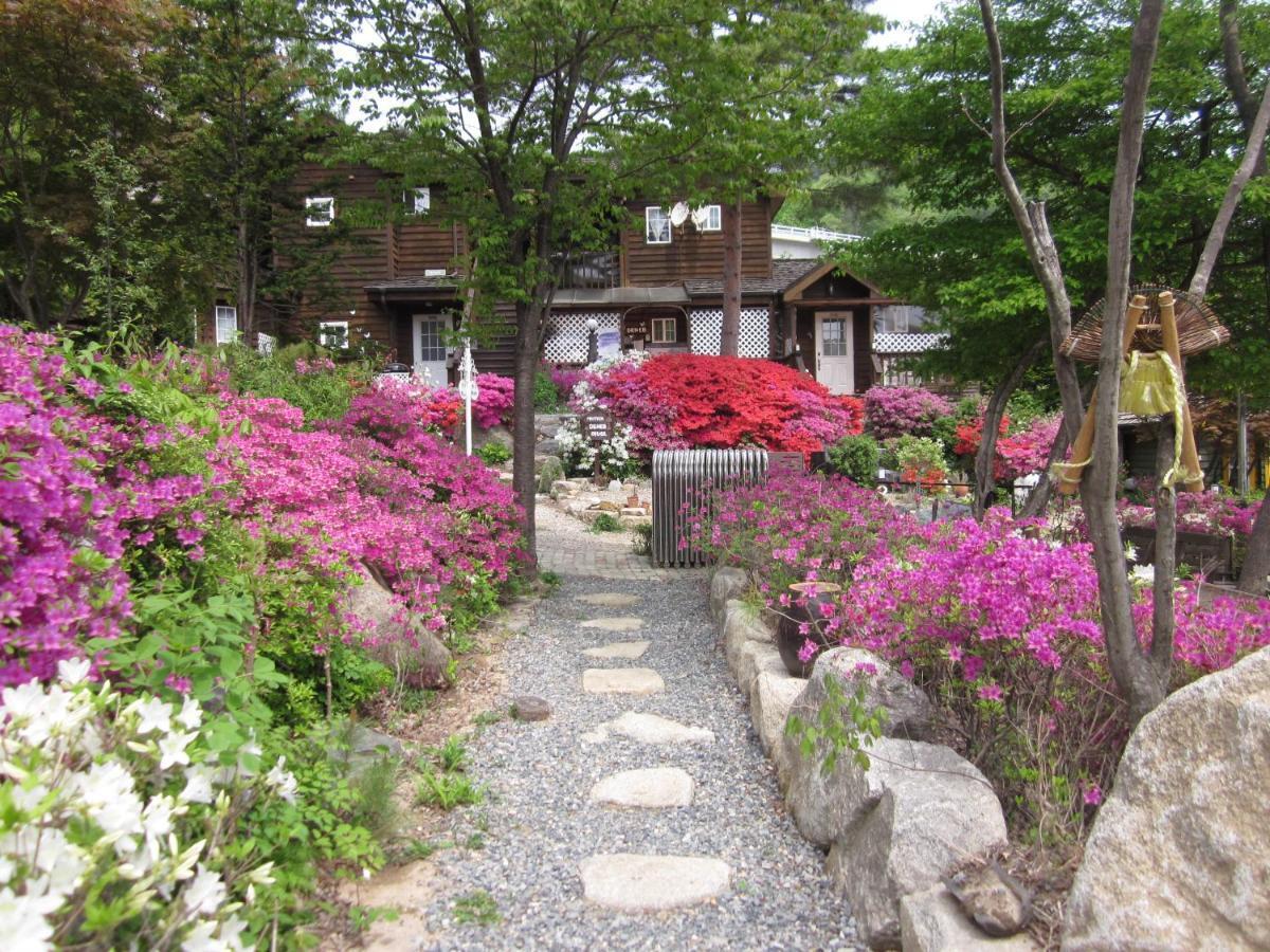 Mayfair Deneb Pension Pyeongchang Exteriör bild